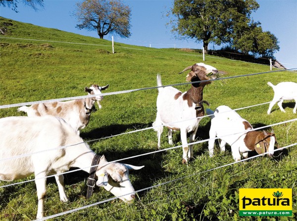 PATURA Festzaun mit Kreuzprofilpfählen 1,05 m hoch, 5 Drähte