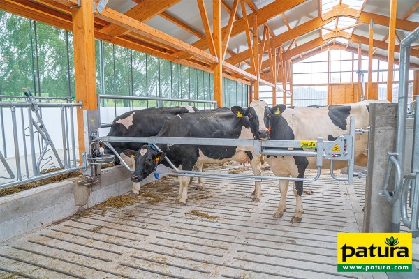 Teleskop-Hubschranke 4 - 6 m