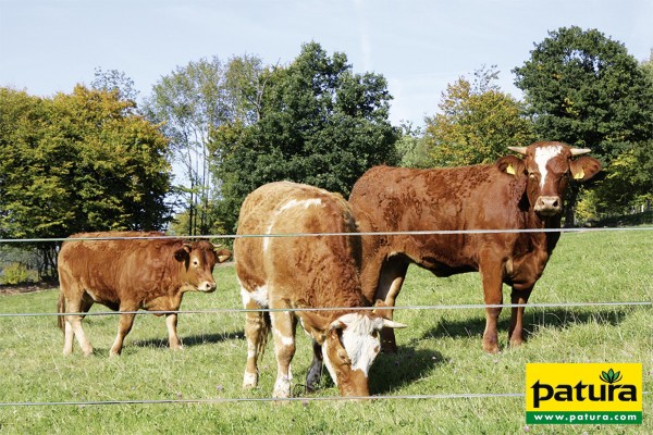 PATURA Recycling-Festzaun 0,90 m hoch 2 Drähte, Kreuzprofil