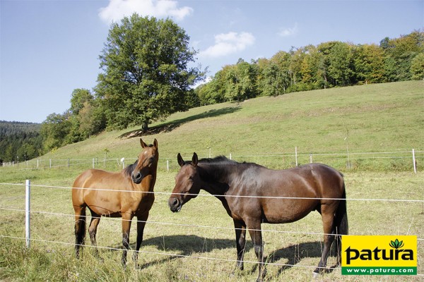 PATURA Hartholz-Festzaun 1,20 m hoch 2 Drähte, 1 TornadoXL-Seil